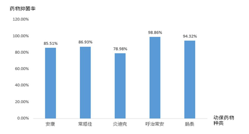 動保藥物藥敏結(jié)果