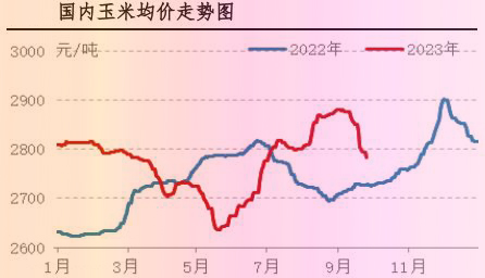 9月肉雞市場行情分析及10月行情預測