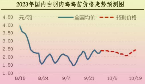 肉雞市場(chǎng)行情匯總