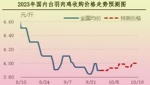 肉雞市場(chǎng)行情匯總