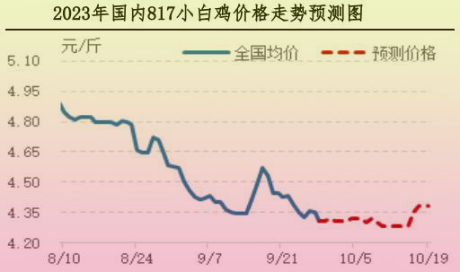 肉雞市場(chǎng)行情匯總