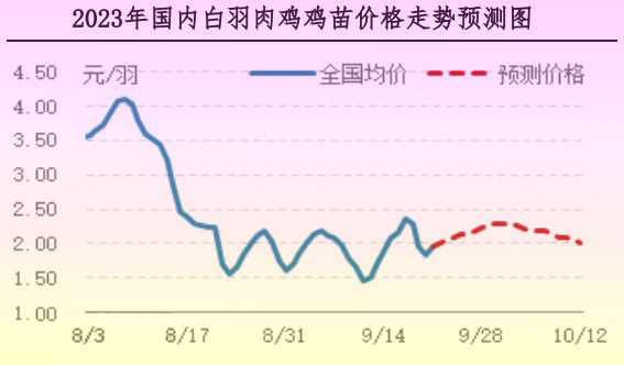 肉雞市場行情匯總