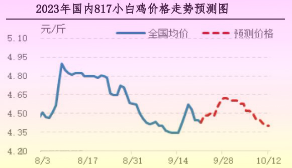 肉雞市場行情匯總