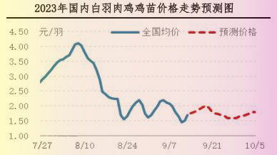 肉雞市場行情匯總