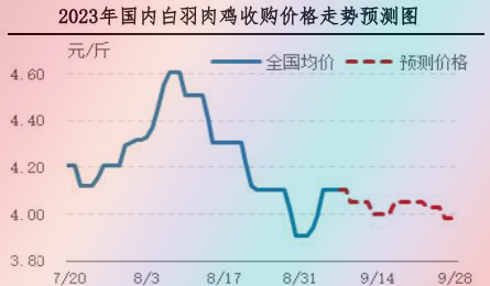 肉雞市場(chǎng)行情匯總