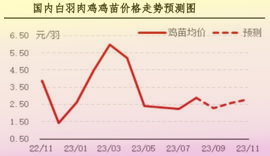 8月肉雞市場行情分析及9月行情預(yù)測