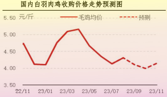 8月肉雞市場行情分析及9月行情預(yù)測