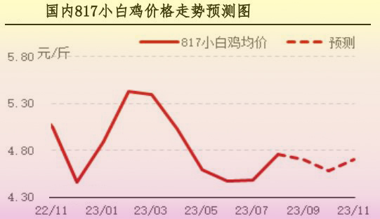 8月肉雞市場行情分析及9月行情預(yù)測