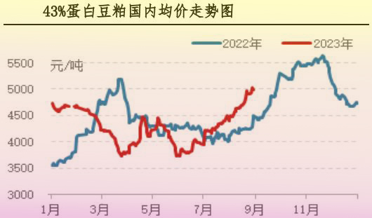 8月肉雞市場行情分析及9月行情預(yù)測