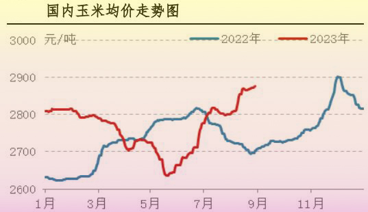 8月肉雞市場行情分析及9月行情預(yù)測