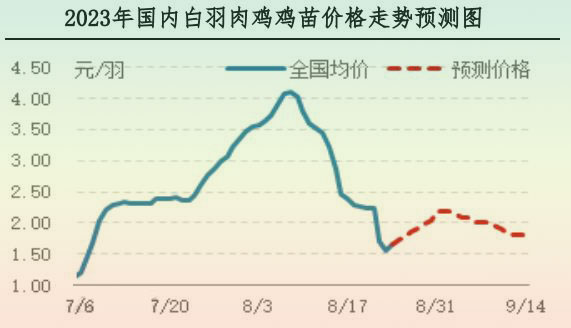 肉雞市場行情匯總
