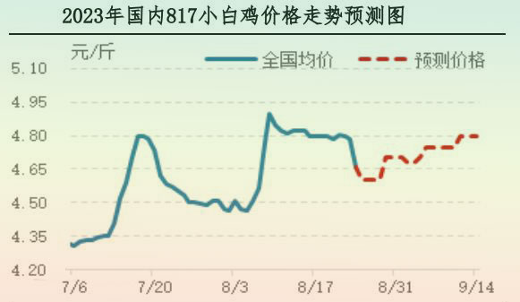 肉雞市場行情匯總