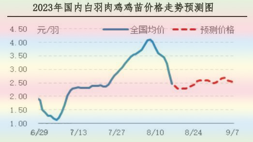 肉雞市場行情匯總