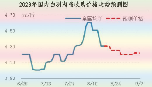 肉雞市場行情匯總