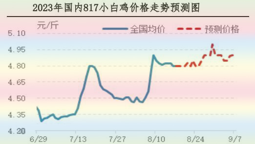 肉雞市場行情匯總