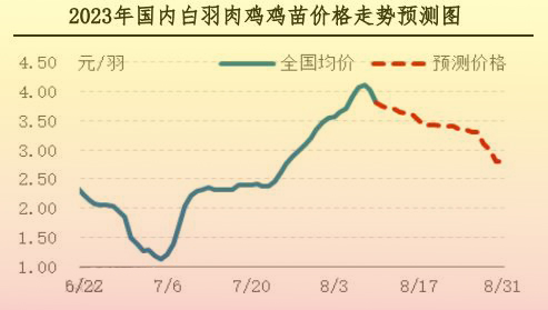肉雞市場行情匯總
