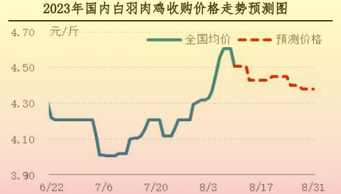肉雞市場行情匯總