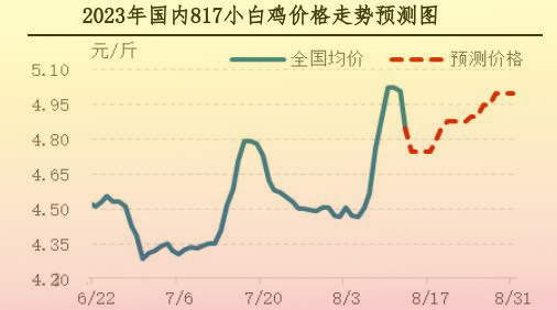肉雞市場行情匯總