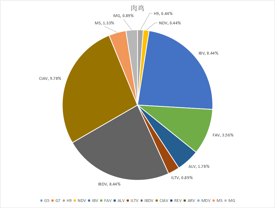 如何應(yīng)對(duì)當(dāng)前的變異型法氏囊炎? 如何應(yīng)對(duì)當(dāng)前的變異型法氏囊炎?