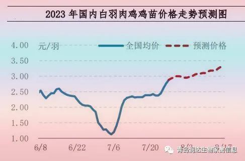肉雞市場(chǎng)行情匯總