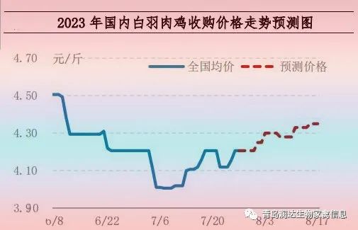 肉雞市場(chǎng)行情匯總