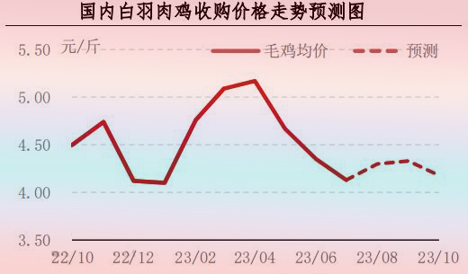 7月肉雞市場行情分析及8月行情預(yù)測