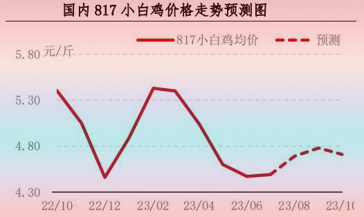7月肉雞市場行情分析及8月行情預(yù)測