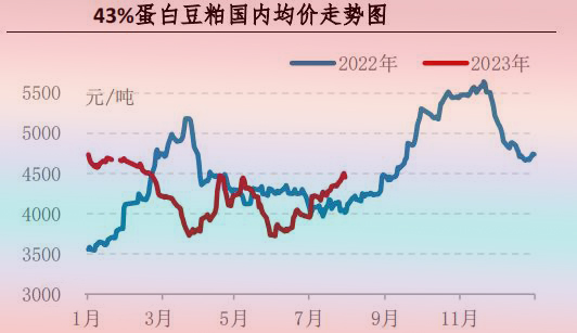 7月肉雞市場行情分析及8月行情預(yù)測