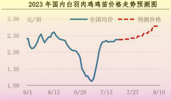 肉雞市場(chǎng)行情匯總