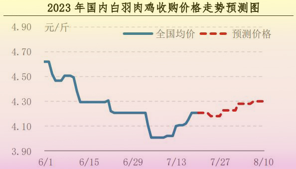 肉雞市場(chǎng)行情匯總