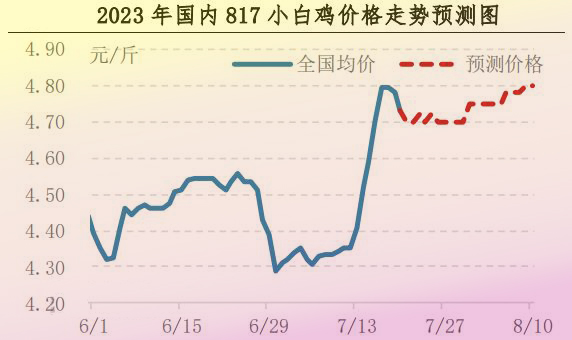 肉雞市場(chǎng)行情匯總