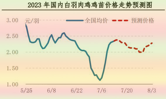 肉雞市場(chǎng)行情匯總