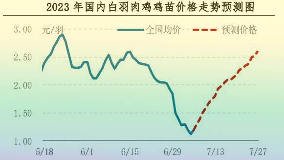 肉雞市場(chǎng)行情匯總