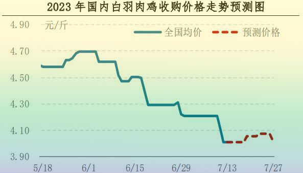 肉雞市場(chǎng)行情匯總