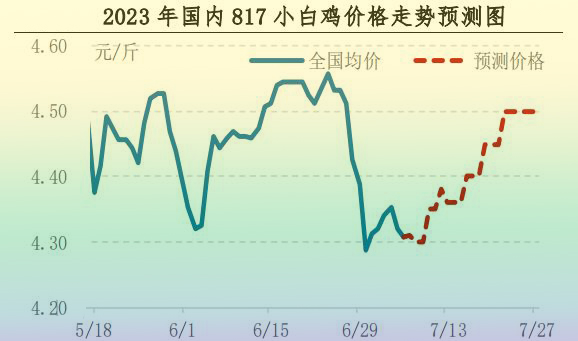 肉雞市場(chǎng)行情匯總