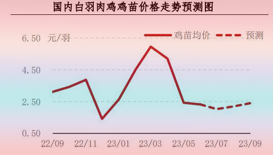 6月肉雞市場(chǎng)行情分析及后市行情預(yù)測(cè)
