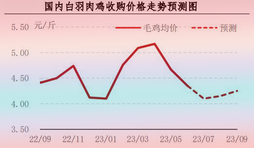 6月肉雞市場(chǎng)行情分析及后市行情預(yù)測(cè)