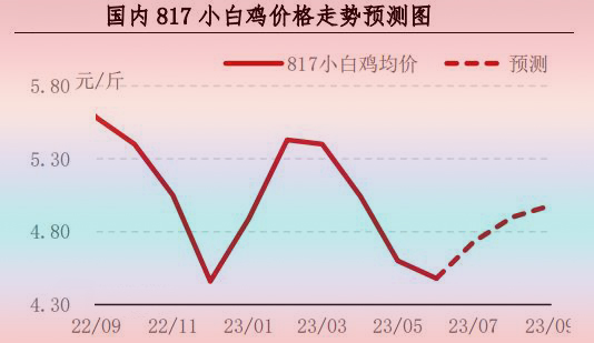6月肉雞市場(chǎng)行情分析及后市行情預(yù)測(cè)