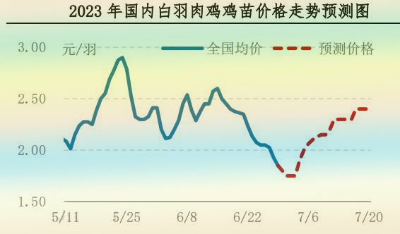 肉雞市場(chǎng)行情匯總