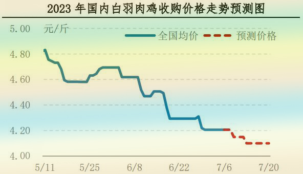 肉雞市場(chǎng)行情匯總
