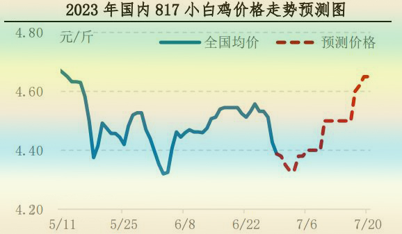 肉雞市場(chǎng)行情匯總