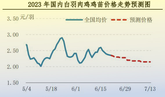 肉雞市場行情匯總