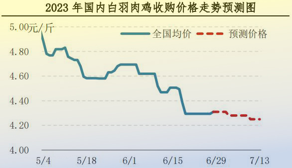 肉雞市場行情匯總