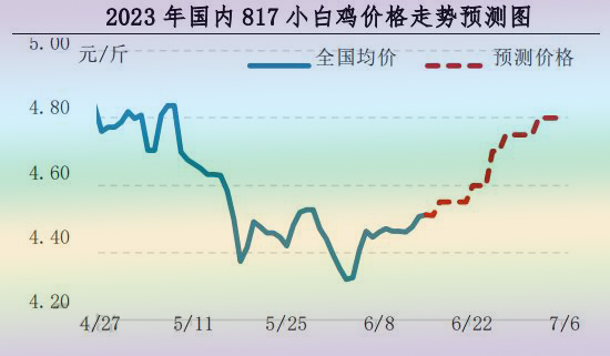 肉雞市場行情匯總