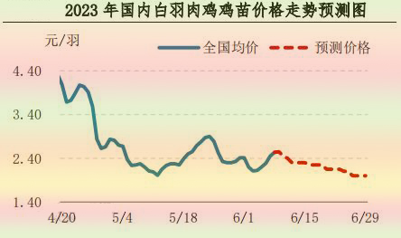 肉雞市場(chǎng)行情匯總