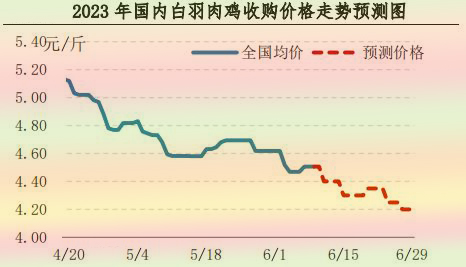 肉雞市場(chǎng)行情匯總