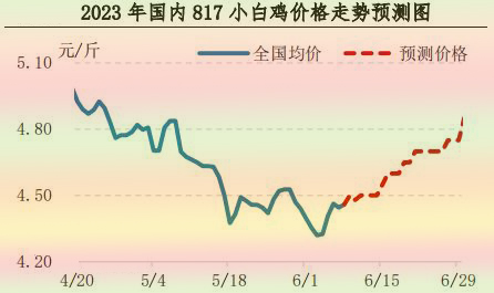 肉雞市場(chǎng)行情匯總