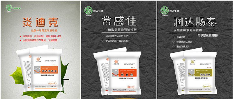 炎迪克、常感佳、腸泰