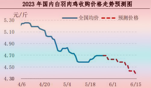 肉雞市場行情匯總