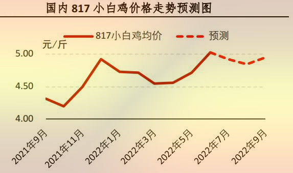 817小白雞